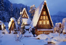 包含柔道赛场再起风云：西城青龙队惊险晋级北城火狐队，赛场气氛火爆全面提速抢占先机的词条